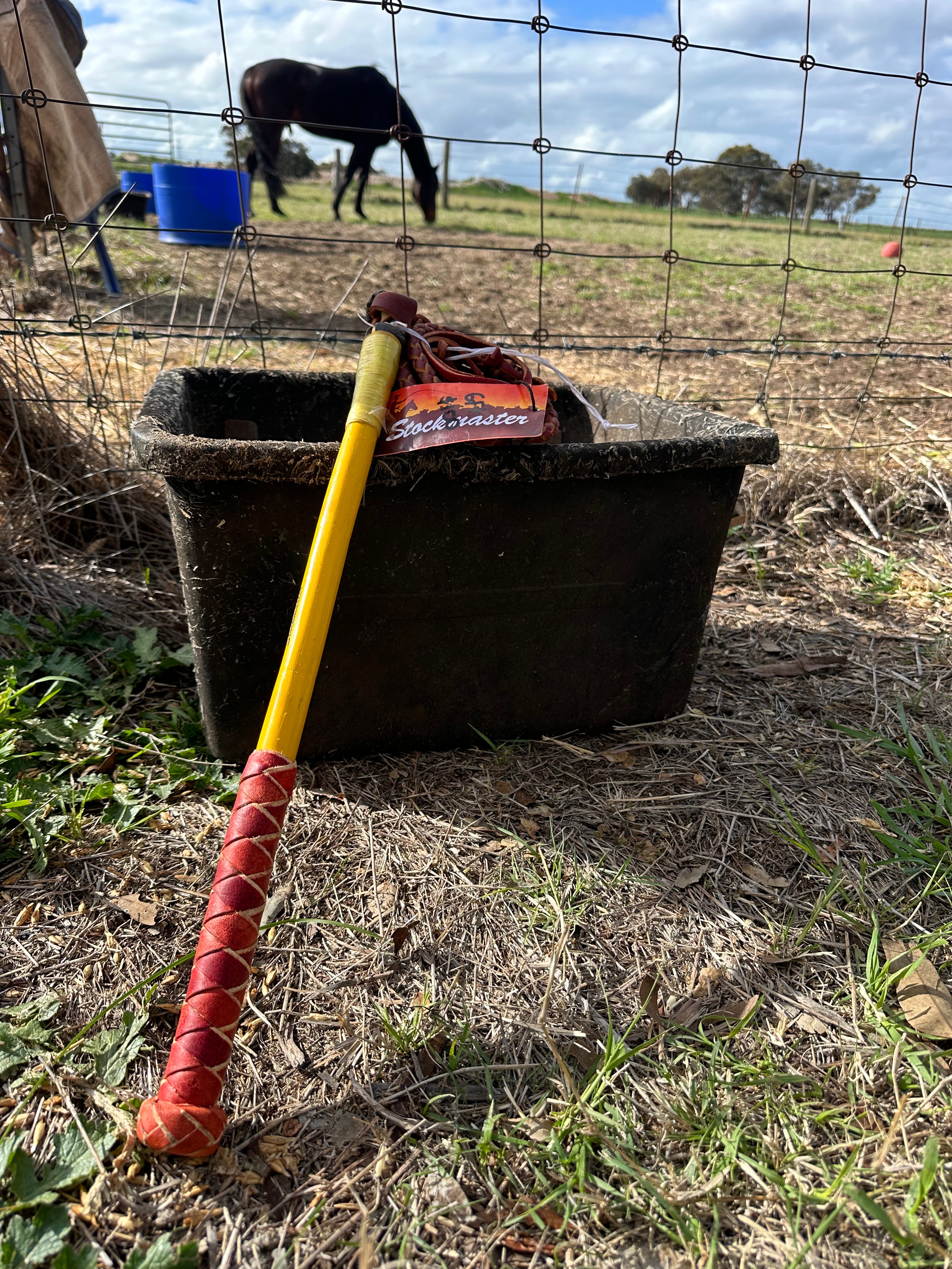 Whip - Redhide Stockwhips - 4 Plait