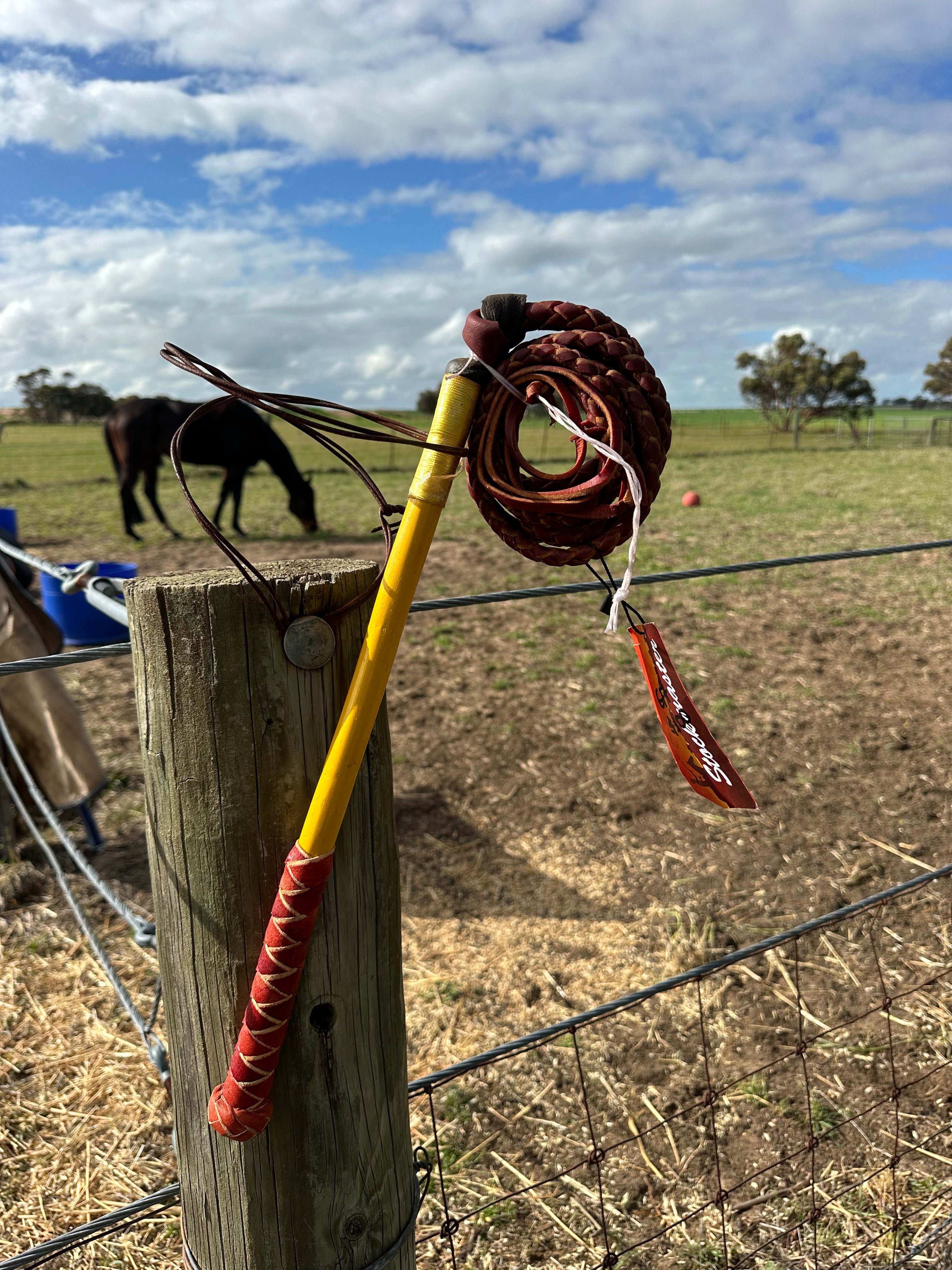 Whip - Redhide Stockwhips - 4 Plait