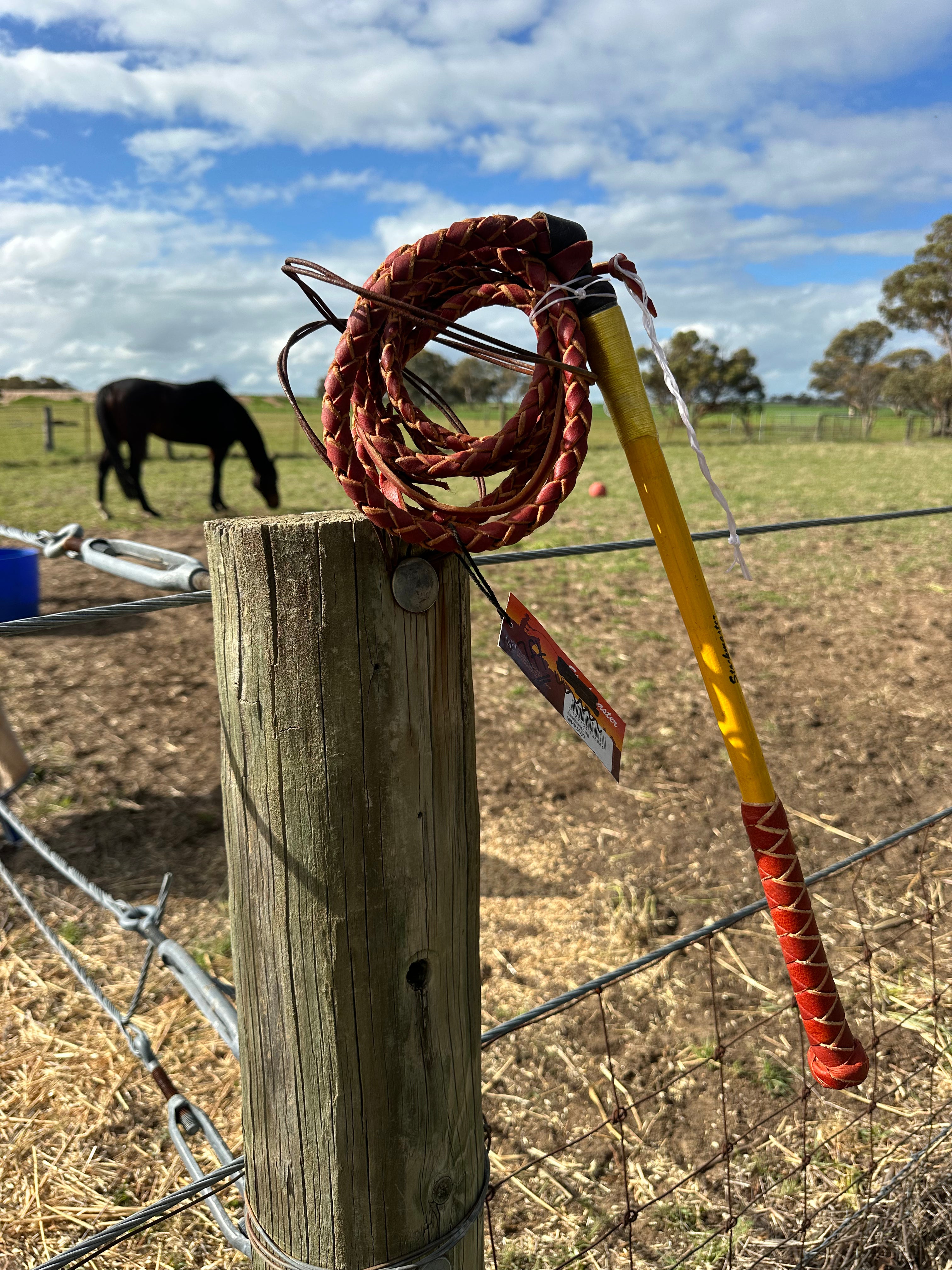 Whip - Redhide Stockwhips - 4 Plait