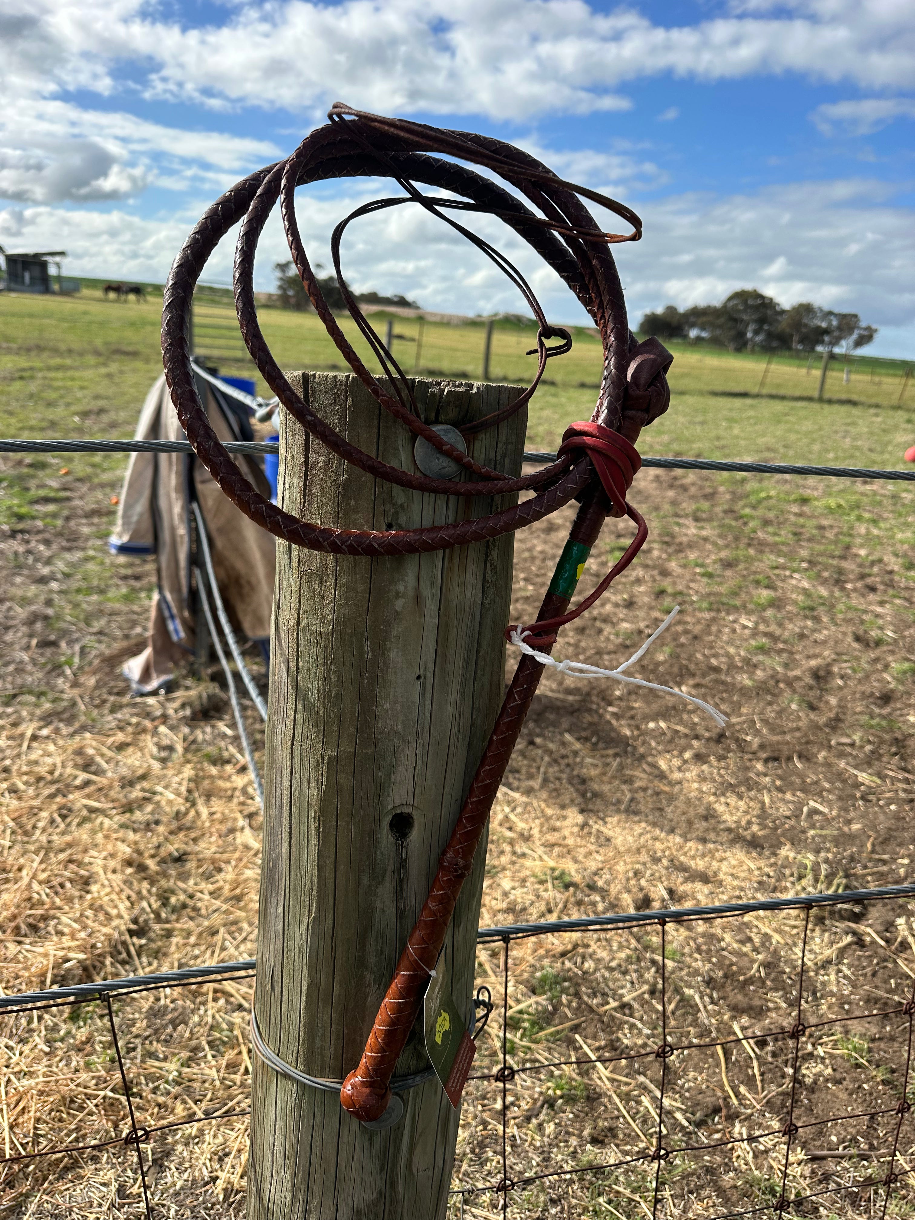 Whip -Nemeth Kangaroo Stock Whip