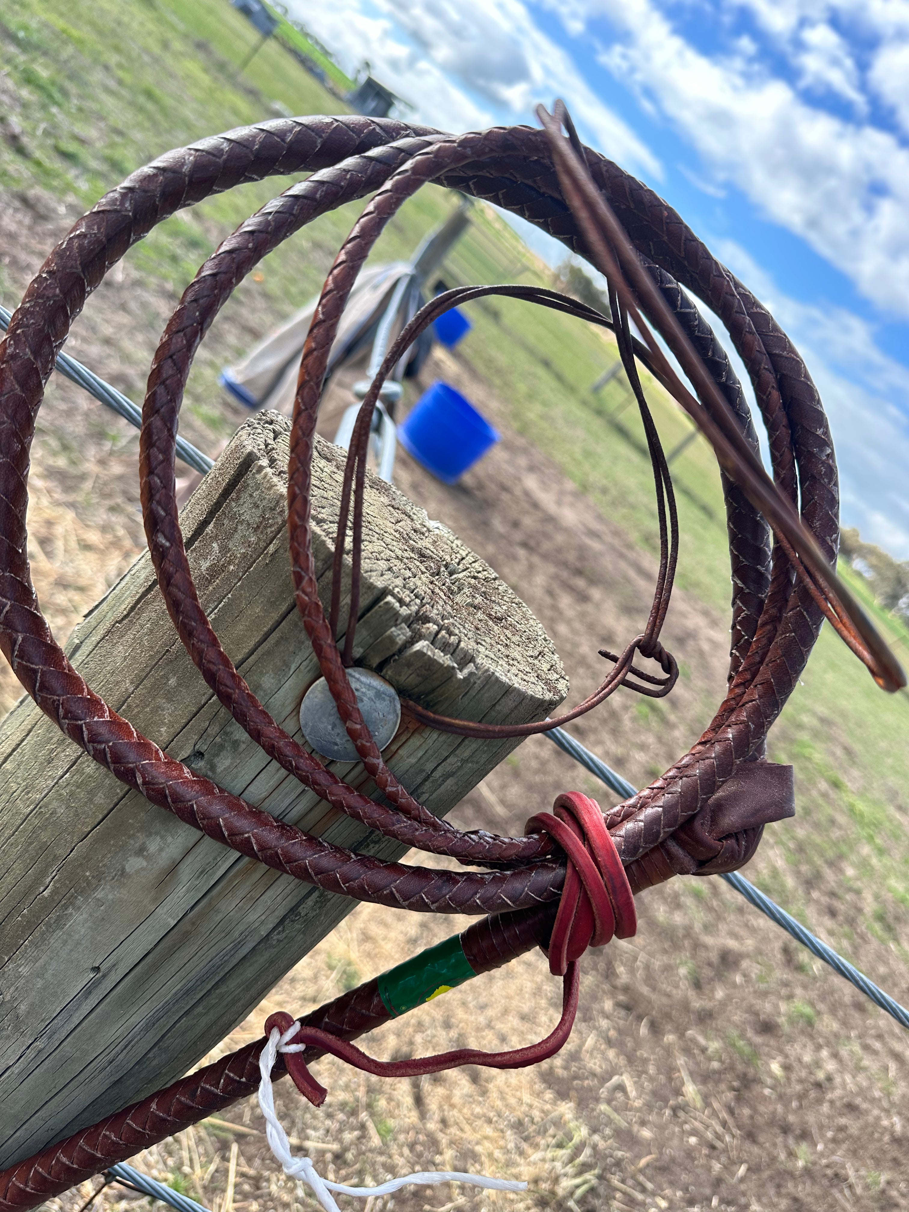 Whip -Nemeth Kangaroo Stock Whip