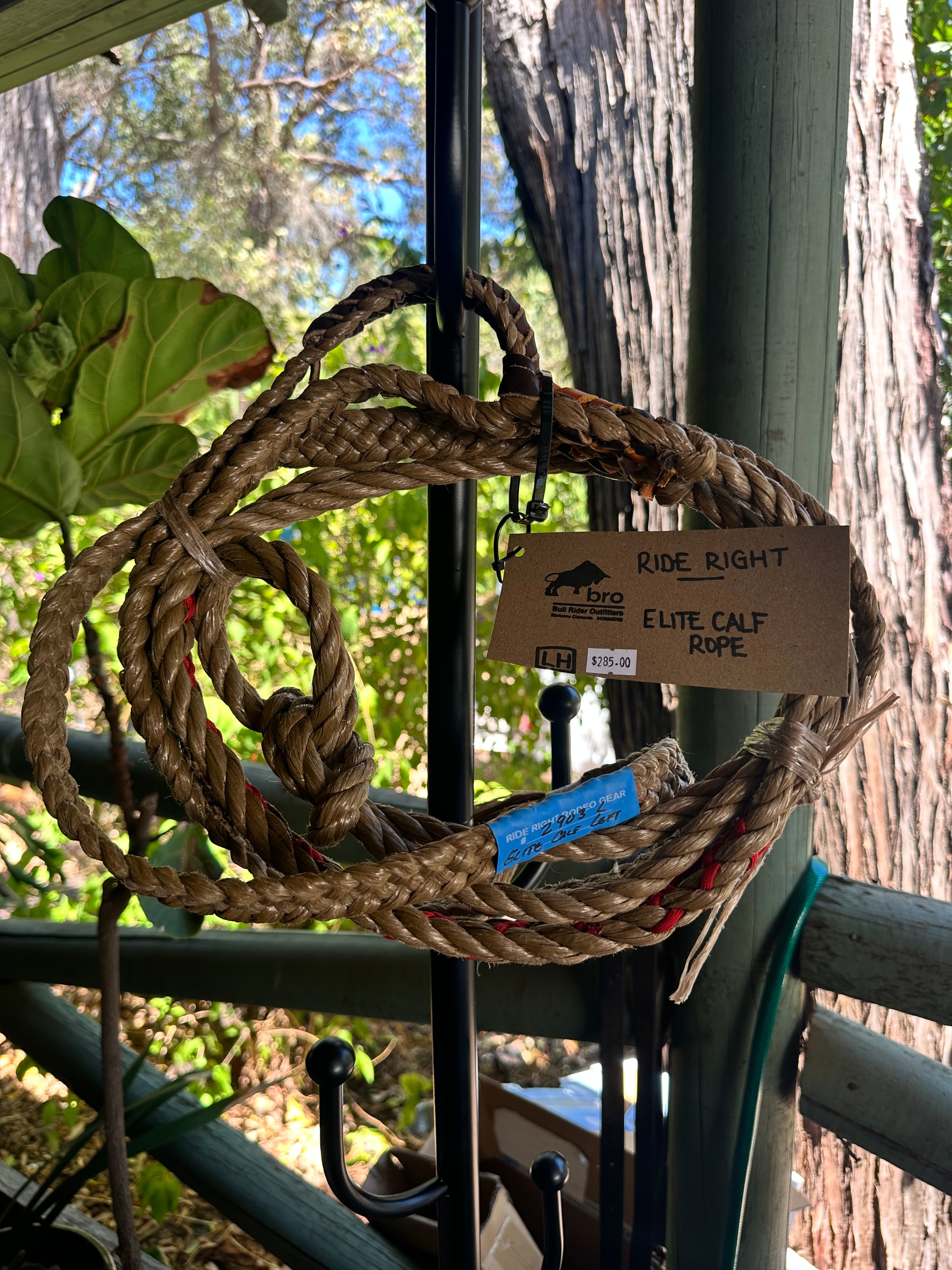 Calf Rope Elite - Ride Right -  Left Hand